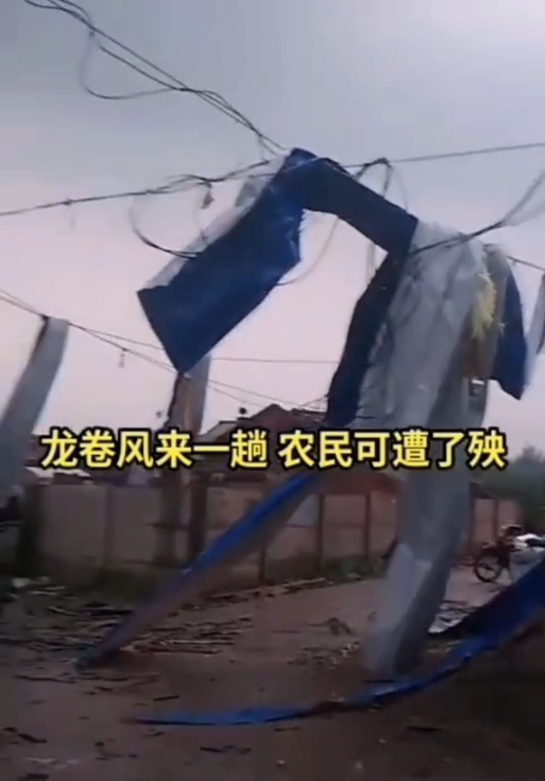 Screenshot_20241214_221542_tv.danmaku.bili_edit_2